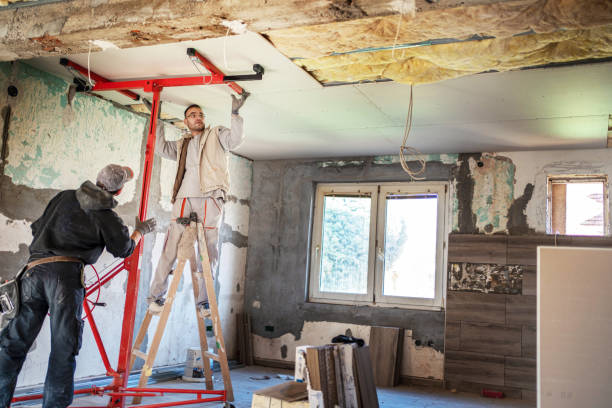 Best Insulation Maintenance and Repair in Camp Verde, AZ