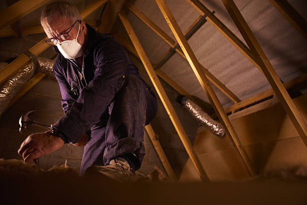 Best Residential Insulation in Camp Verde, AZ